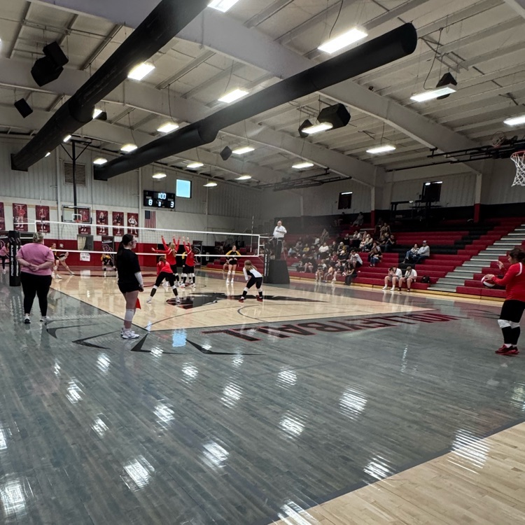 VB