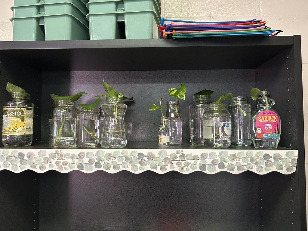 Green Thumbs Club