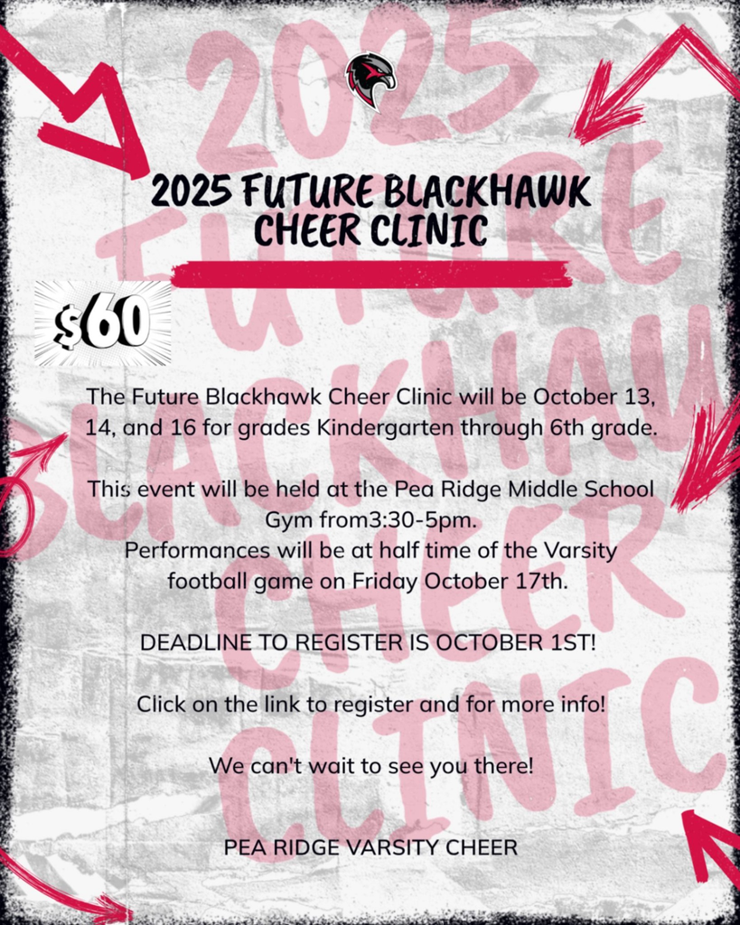 kiddie cheer clinic