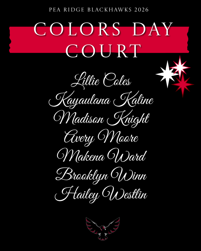 colors day court 