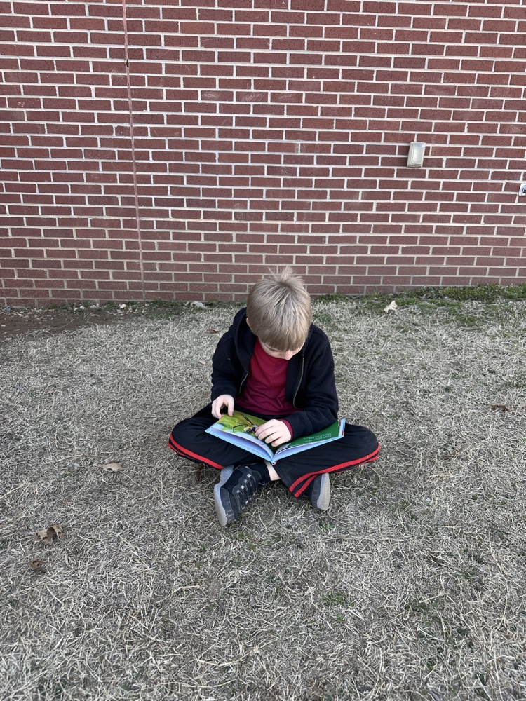 Students reading 