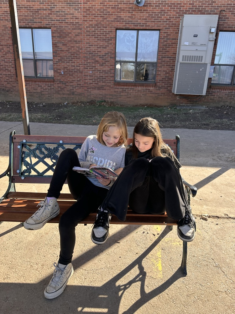 Students reading 