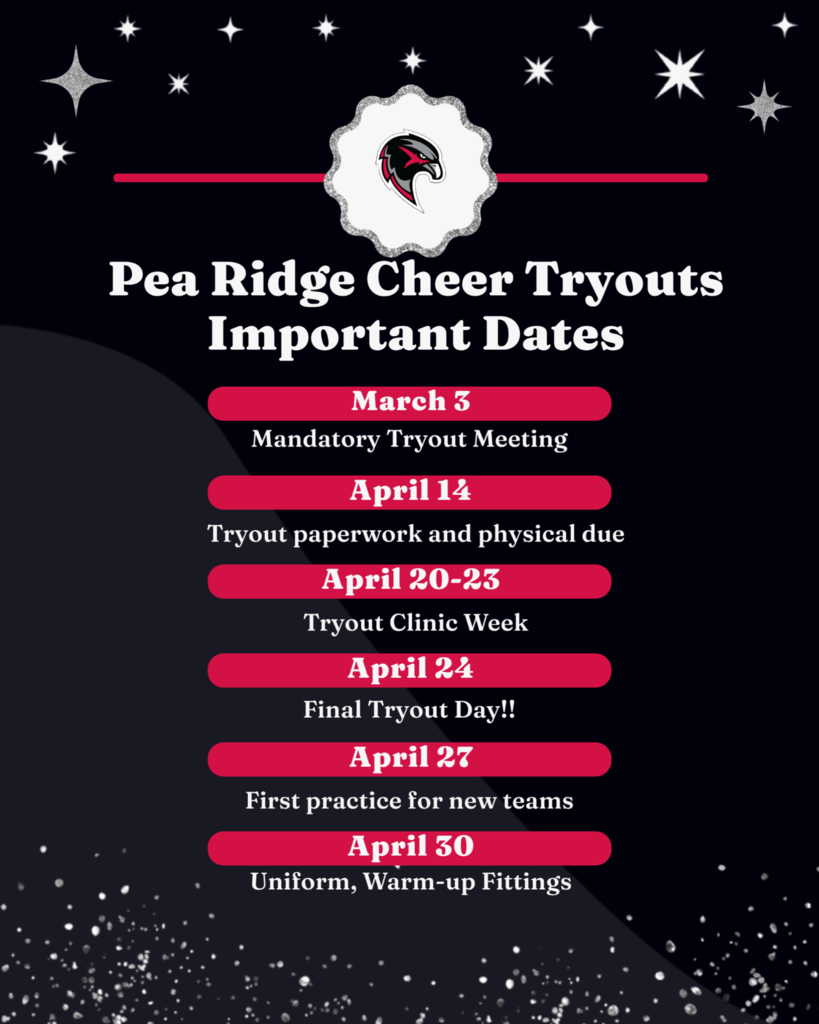 cheer tryout info