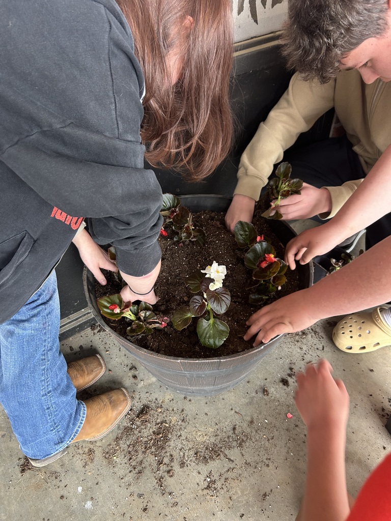 Students planting flowers