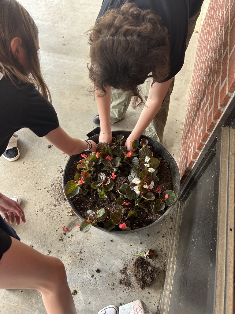 Students planting flowers