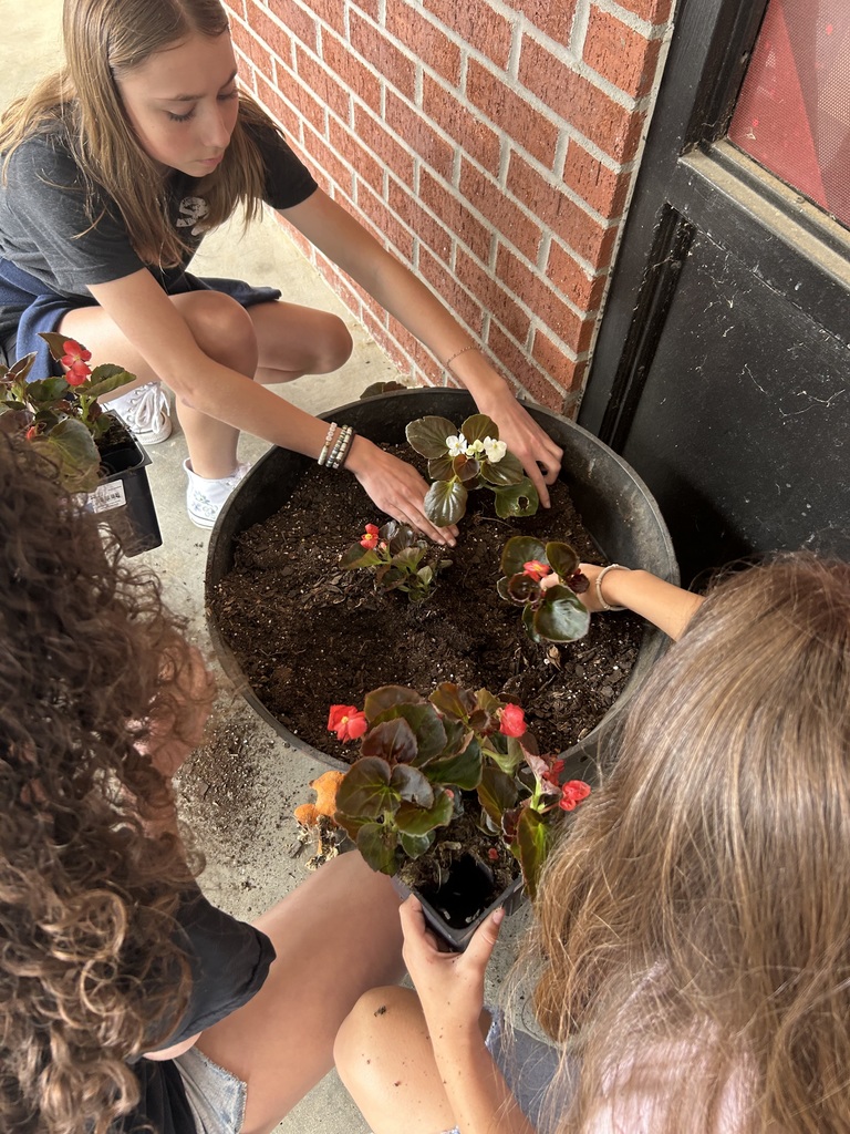 Students planting flowers