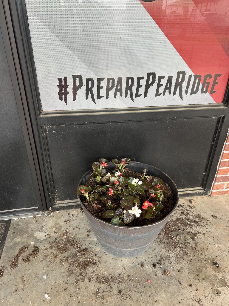 Students planting flowers