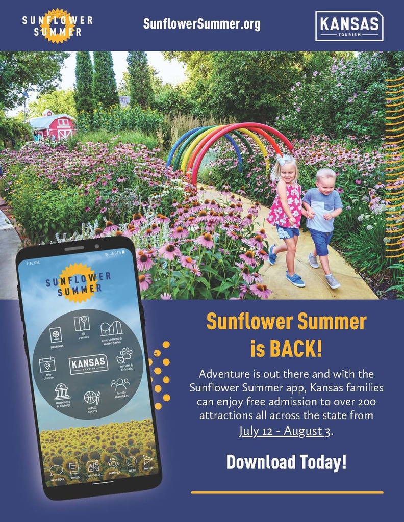 Sunflower Summer