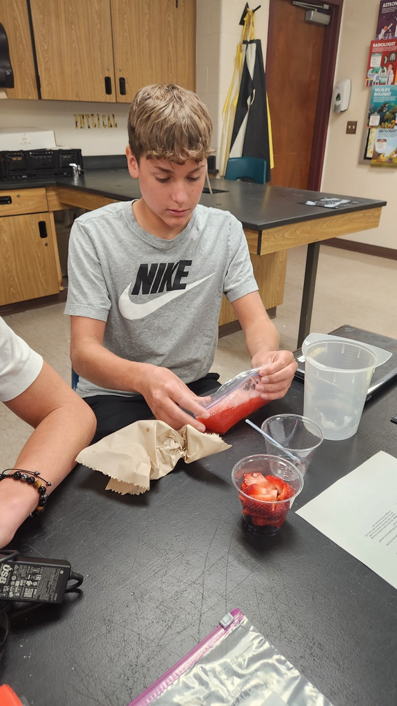 Extracting DNA from strawberries in science class