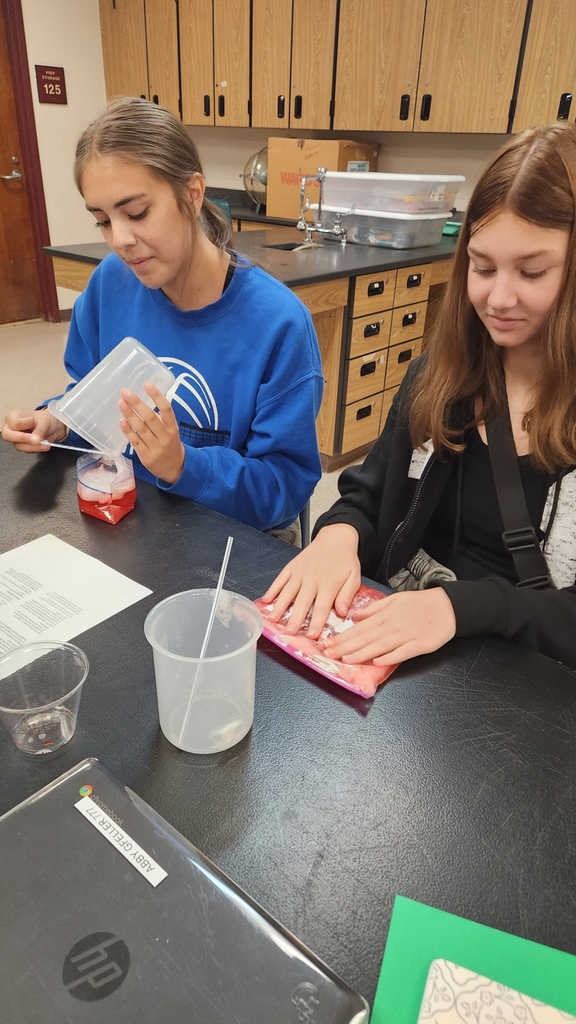 Extracting DNA from strawberries in science class