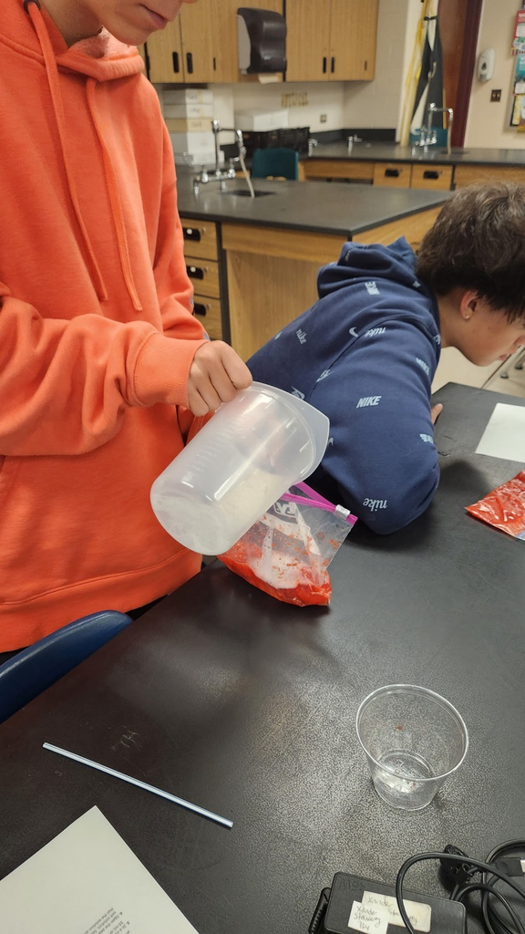 Extracting DNA from strawberries in science class