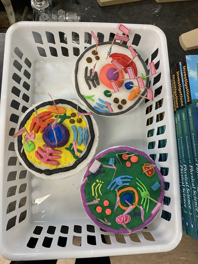 Student-made cell model