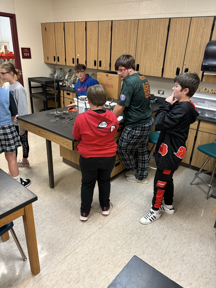 5th grade student working with high school chemistry to complete a physical/chemical change lab