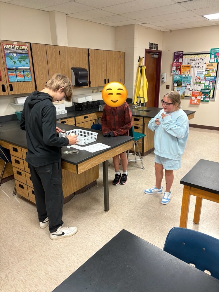 5th grade student working with high school chemistry to complete a physical/chemical change lab