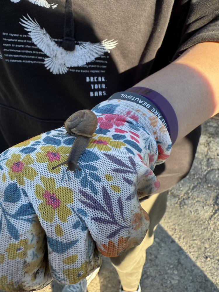 community service day