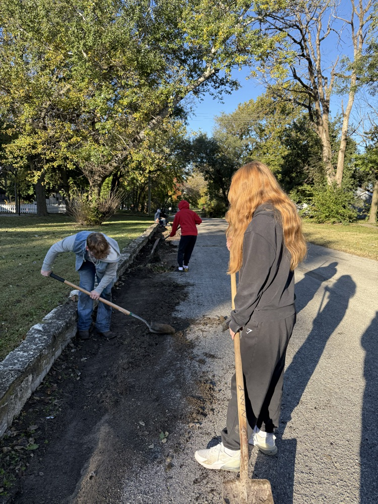 community service day