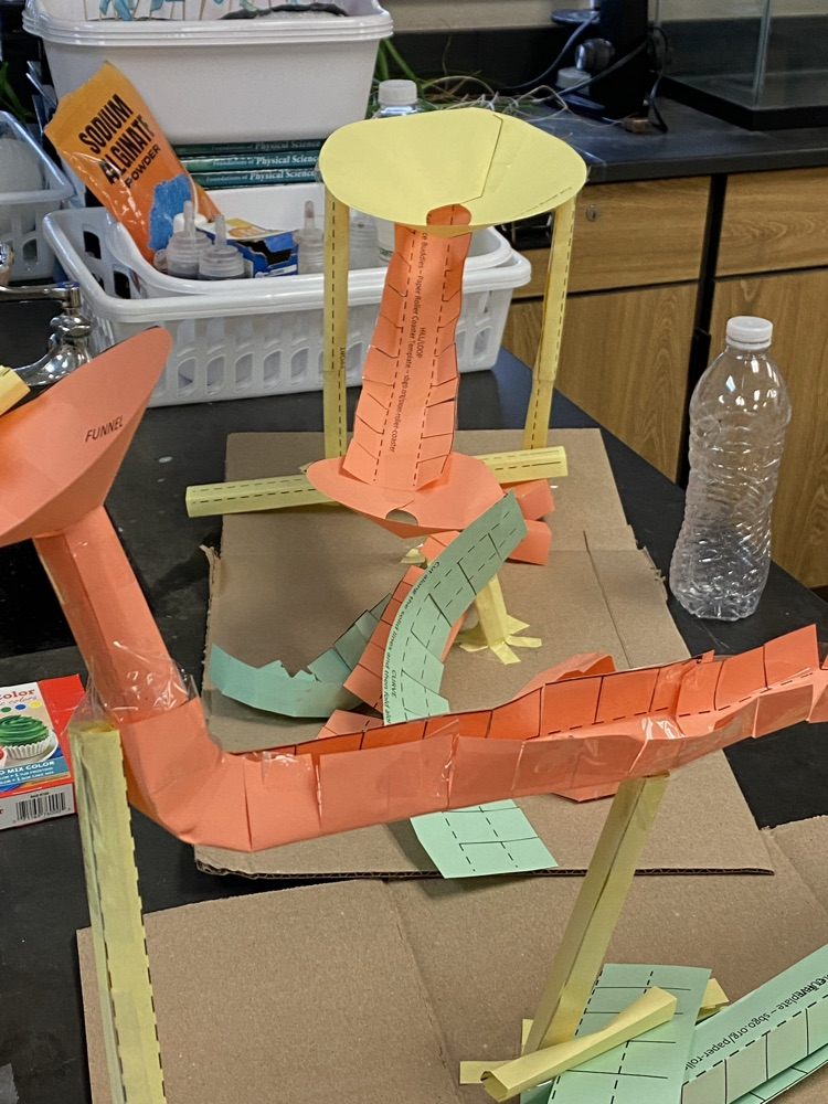 Roller coasters from Ms. Scheuermann’s Physical Science class.