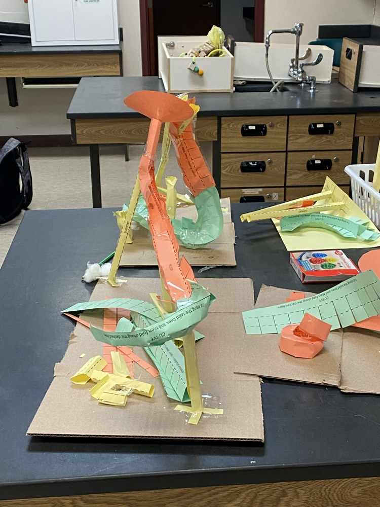 Roller coasters from Ms. Scheuermann’s Physical Science class.