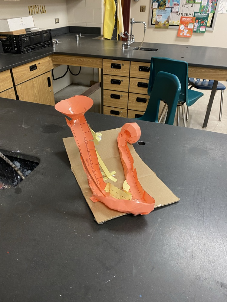 Roller coasters from Ms. Scheuermann’s Physical Science class.