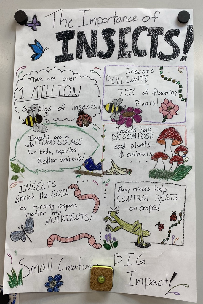 Ashlee Salazar-Fritz insect choice board