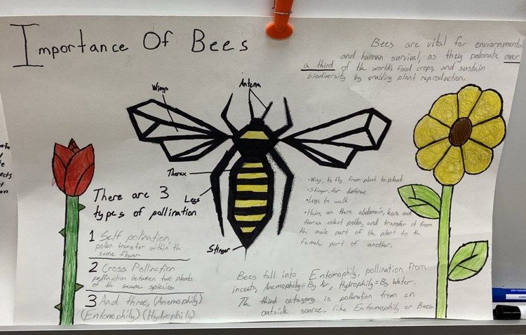 Daren Miler insect choice board