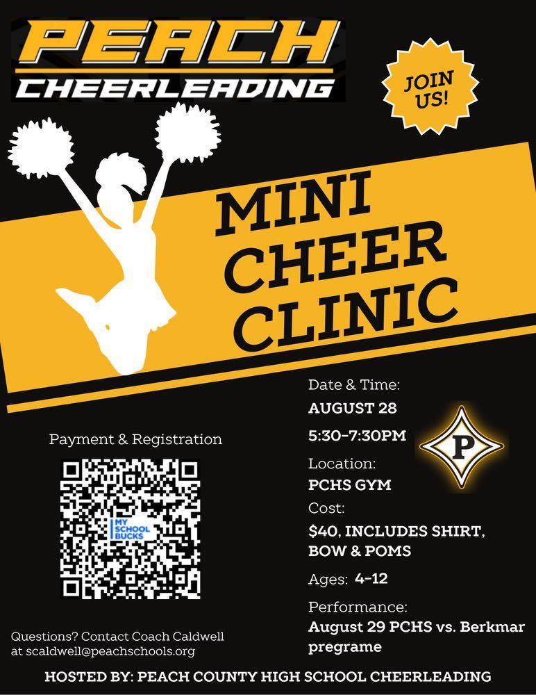 Cheer Clinic