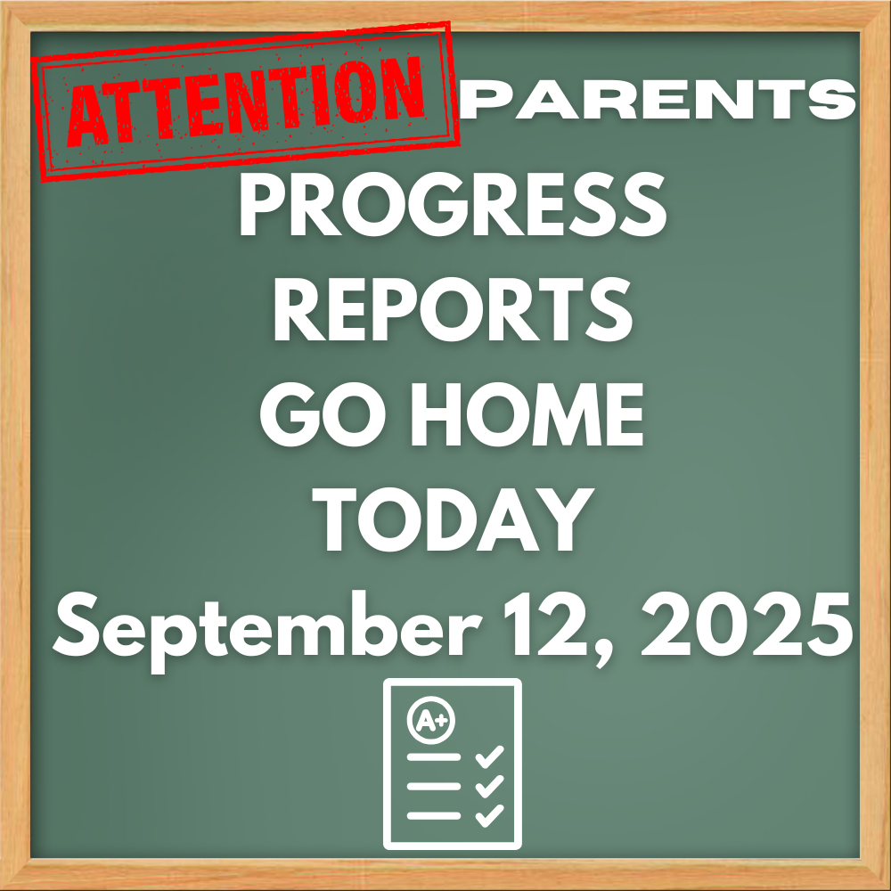 Progress Reports