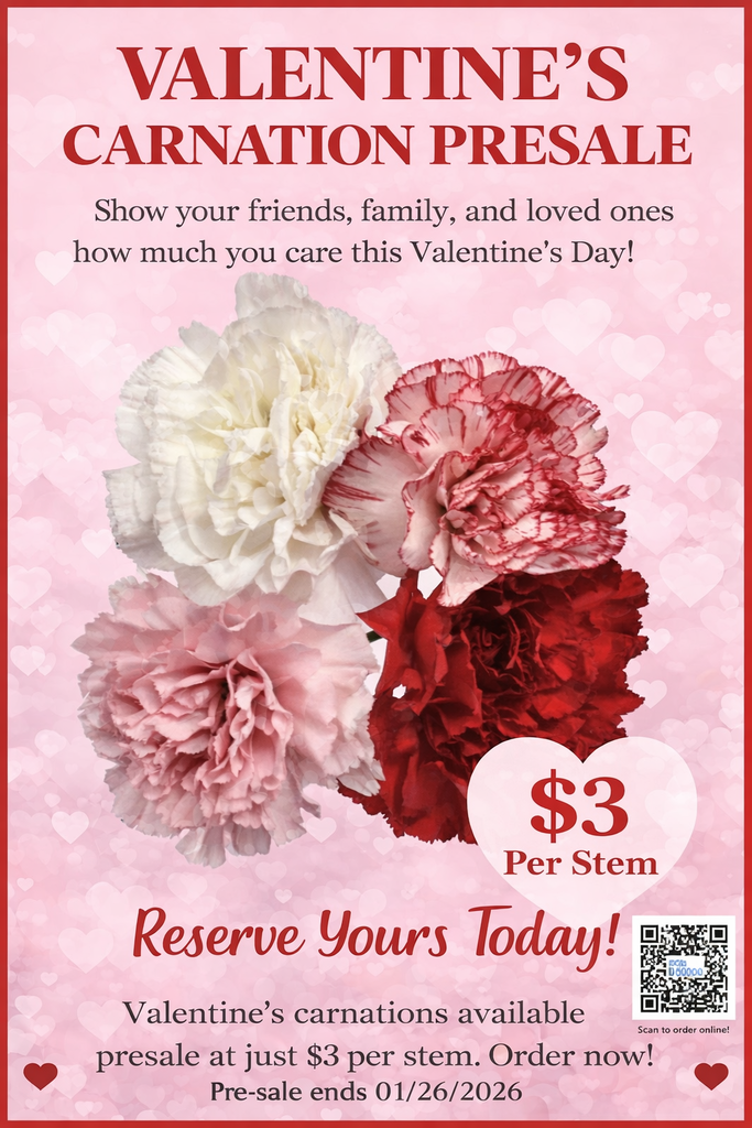 Carnation Pre-sale