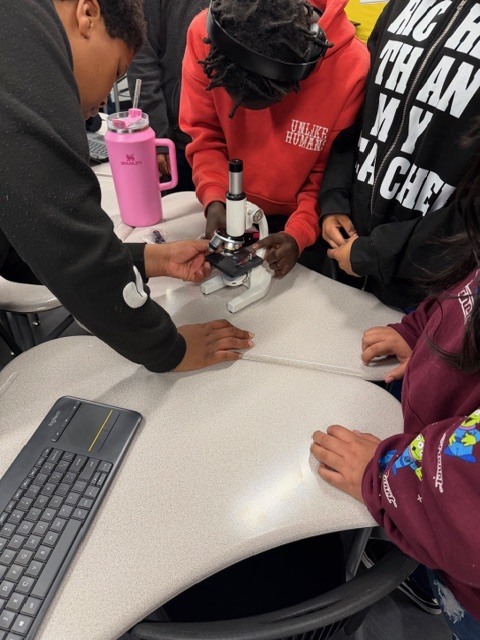 Bibbs Life Science Classes