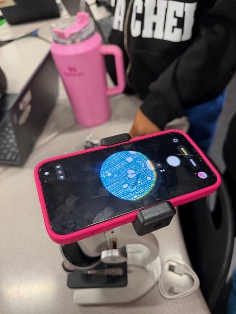 Bibbs Life Science Classes