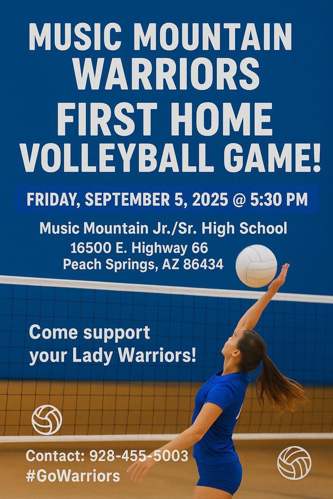 vb flyer