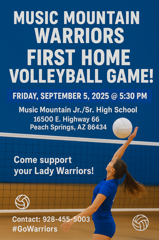 Game flyer