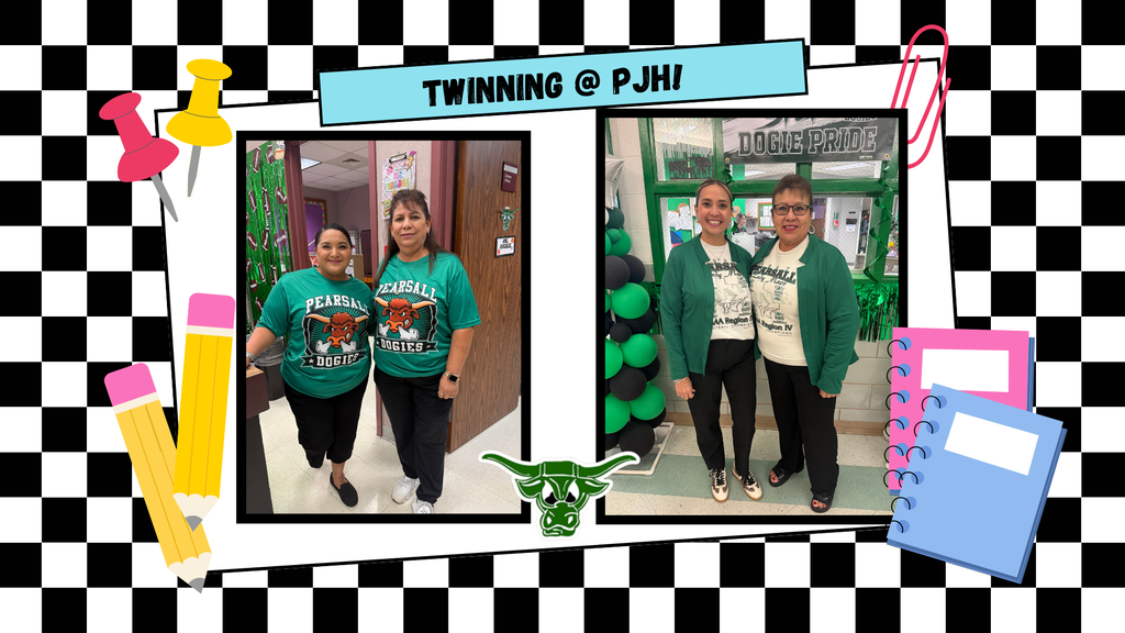 Adults twinning