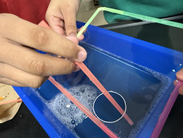 Lab
