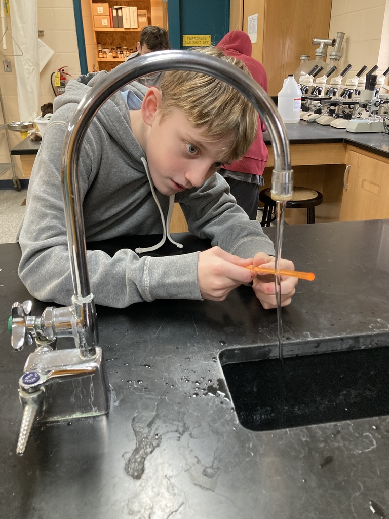 The 8th graders used an electrical force to move a stream of water without touching it in their Physical Science class.