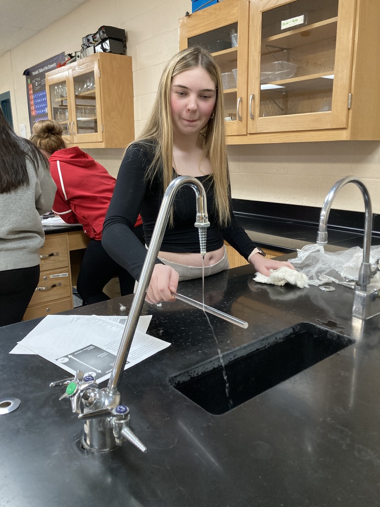 The 8th graders used an electrical force to move a stream of water without touching it in their Physical Science class.