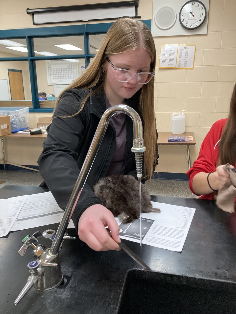 The 8th graders used an electrical force to move a stream of water without touching it in their Physical Science class.