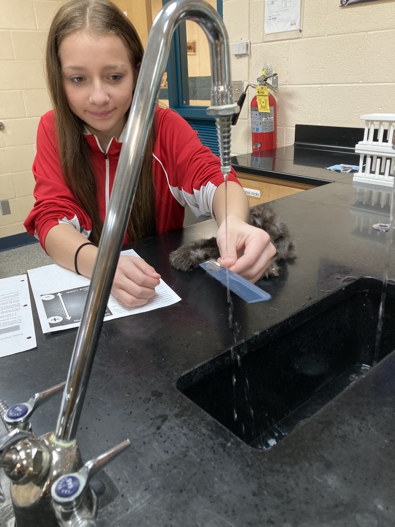 The 8th graders used an electrical force to move a stream of water without touching it in their Physical Science class.