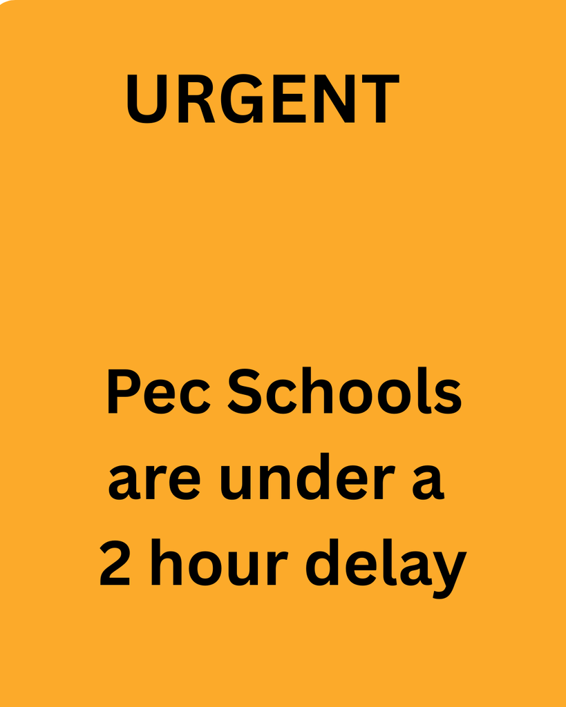 Due to dangerous road conditions, Lamers have pulled the buses off the roads.   Pecatonica Schools will start at 10:00 AM.  No early childhood. 