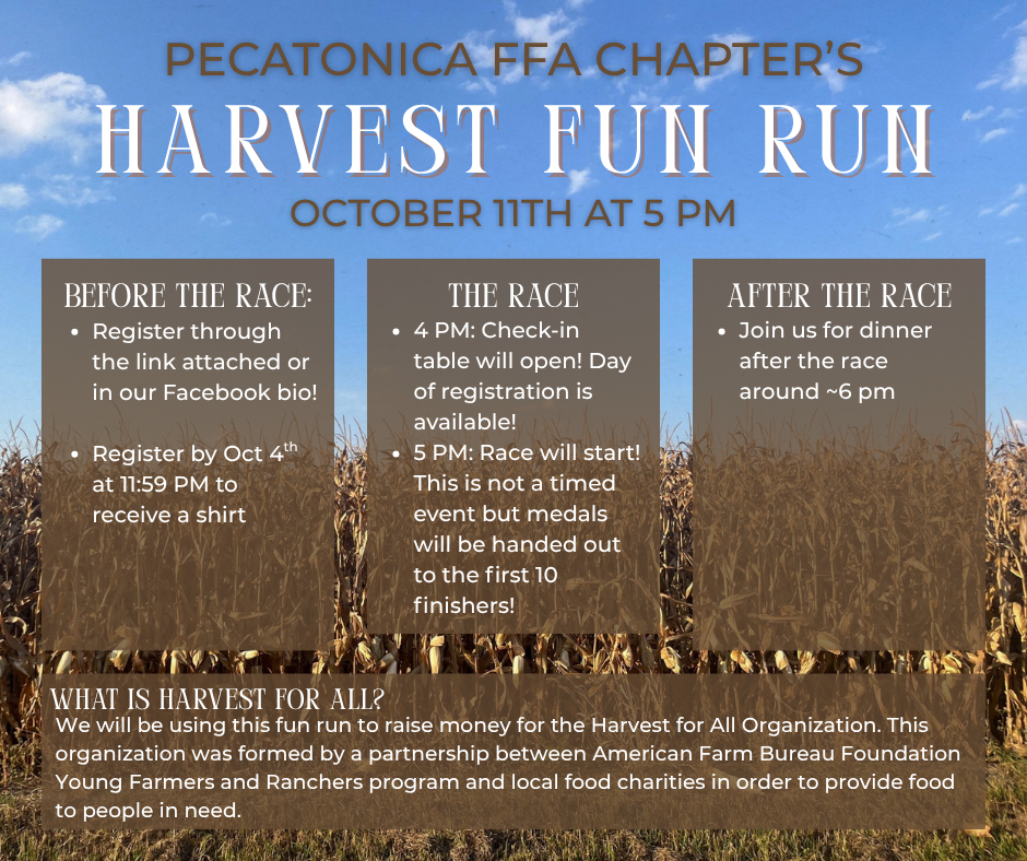 Fun Run Graphic