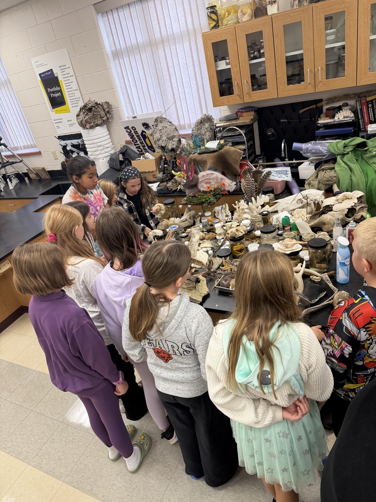 Future zoology students in training! 