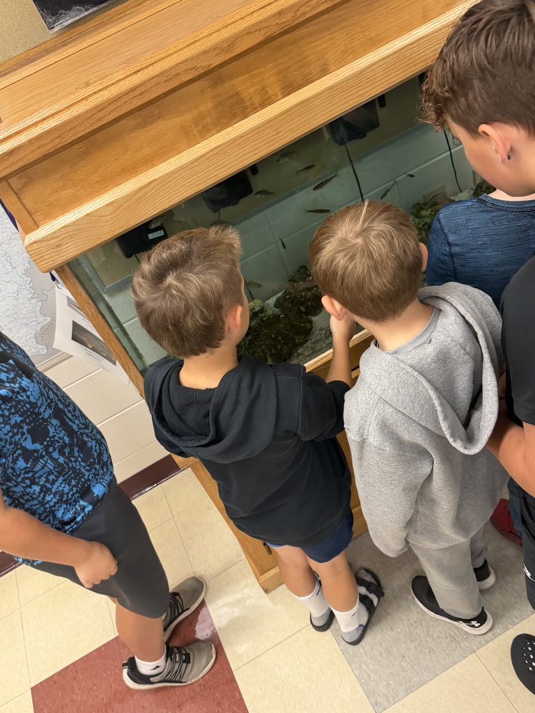 Checking out all the fish!