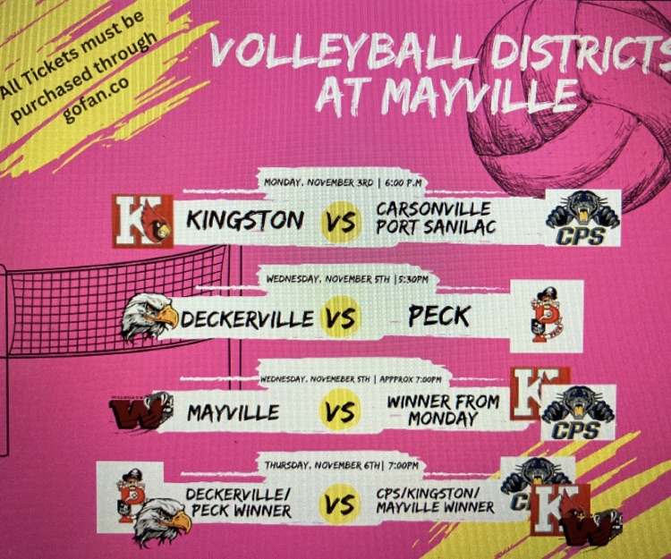 volleyball districts 