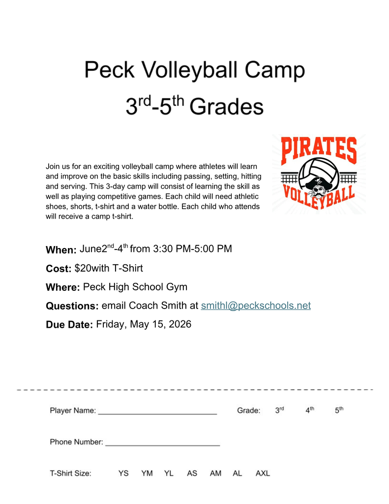 Flyer for Elementary Volleyball Camp