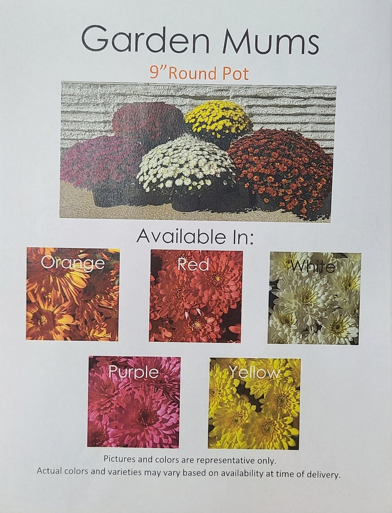 Special Education Mum Fundraiser