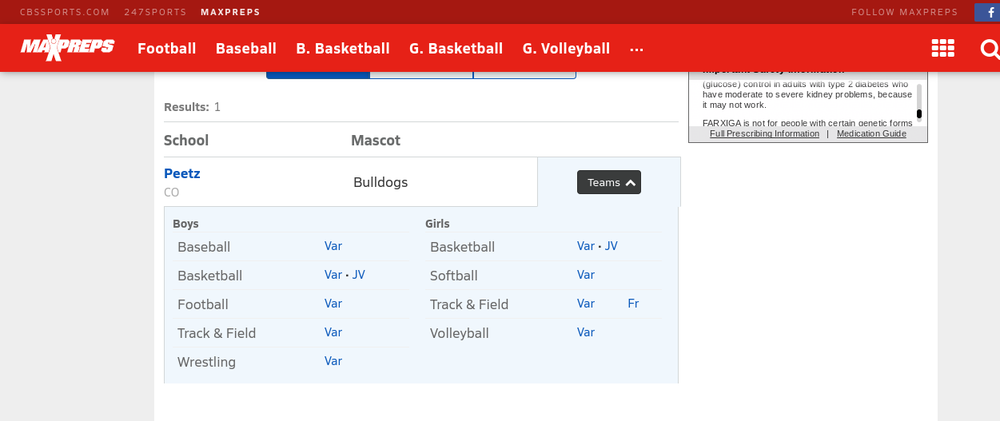 Picture of the website