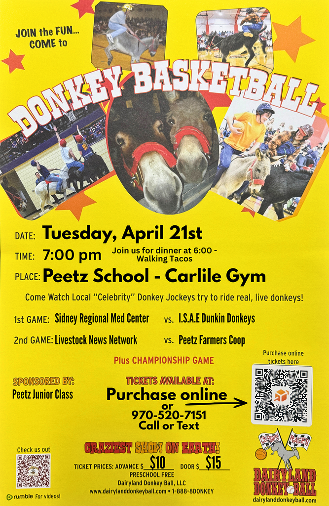 Donkey Basketball