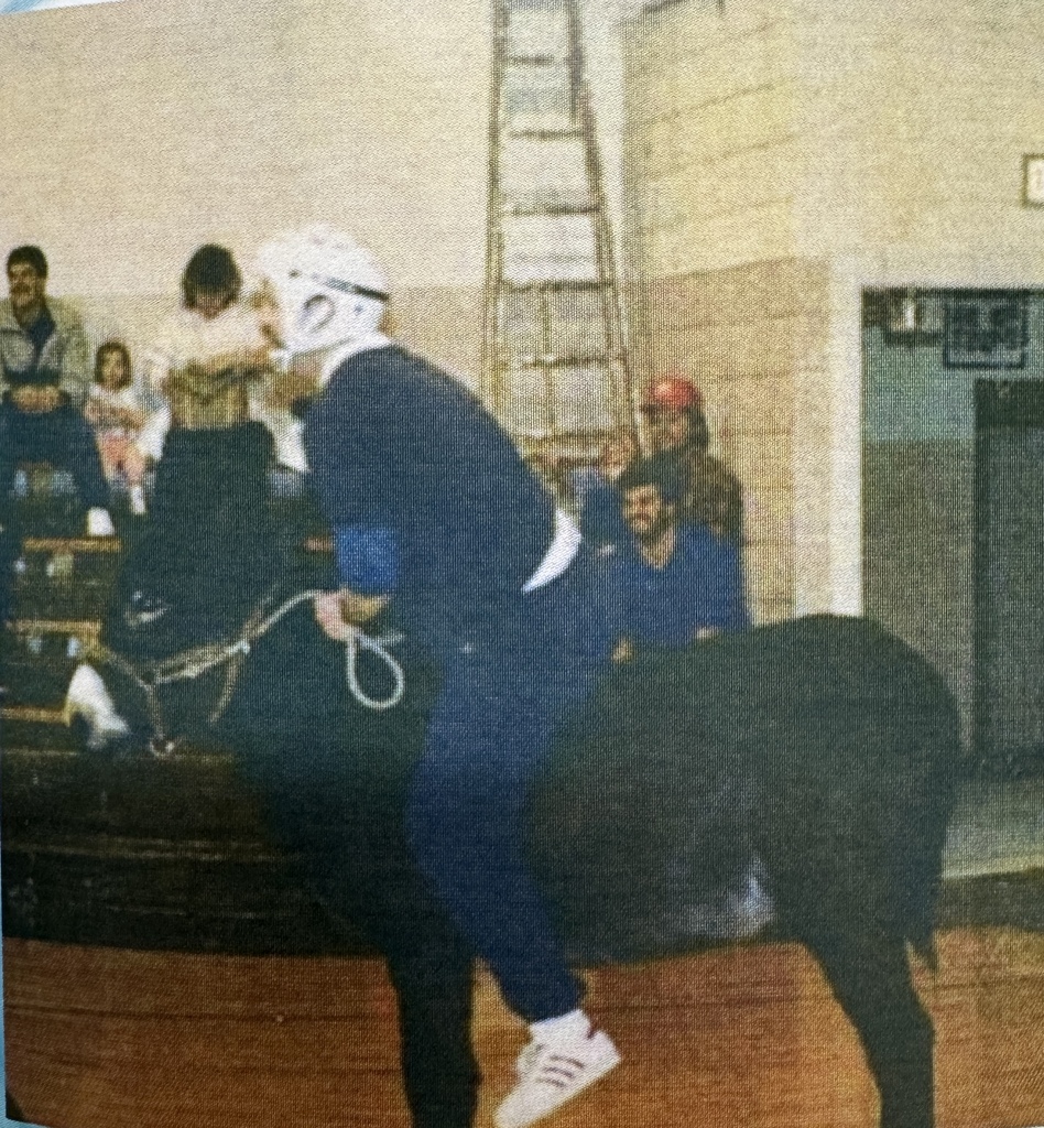 Donkey Basketball