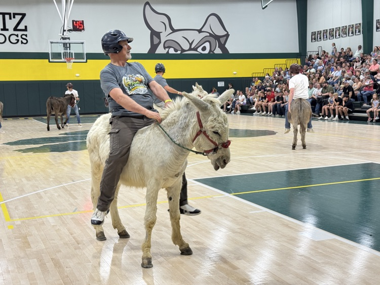 donkey basketball