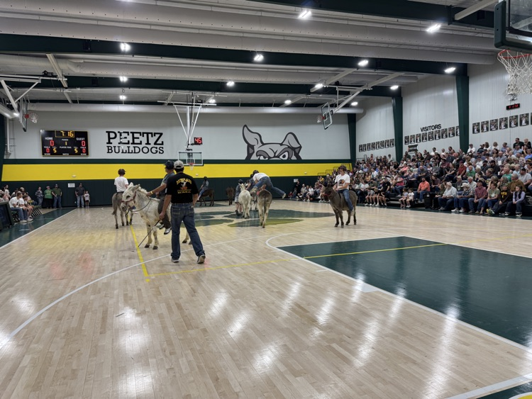 donkey basketball